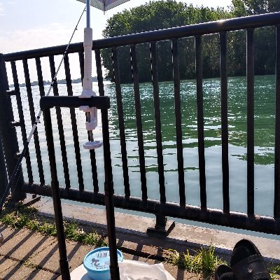 frontrow313's profile picture. 