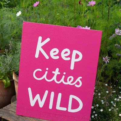 Community garden & cafe, full of trees & flowers, for people to connect with nature and each other in the heart of busy Dalston. Open all year round.