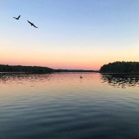 Maeve Cullina (@cullinamaeve) 's Twitter Profile
