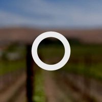 Fidelitas Wines (@fidelitaswines) 's Twitter Profile
