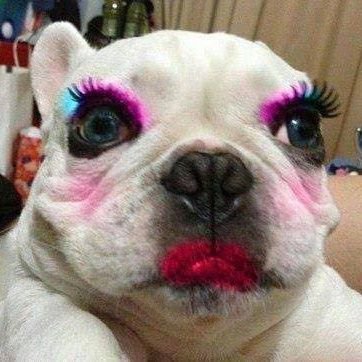 Kradanga1's profile picture. คนปัญญาอ่อน คุยไม่รู้เรื่อง คุยเรื่อยเปื่อยไม่มีสาระ อย่ามาหาสาระที่นี่ เพราะที่นี่ไม่ใช่ห้องสมุด