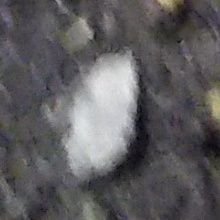 Ey0myZ7rY4dRmwX's profile picture. 