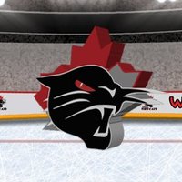 @NGHAWildcats(@nghawildcats) 's Twitter Profile Photo