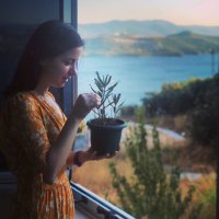 mbulut (@geyzecik) Twitter profile photo