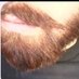 ریش قرمز انگلیسی (@englishredbeard) Twitter profile photo ریش قرمز انگلیسی (@englishredbeard) Twitter profile photo