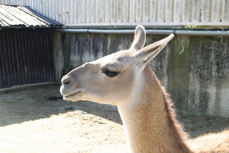 stirmark's profile picture. 