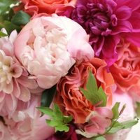 Danuta.Celina (@celinadanuta) 's Twitter Profile Photo