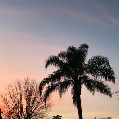 vbes123's profile picture. 🍝🍫