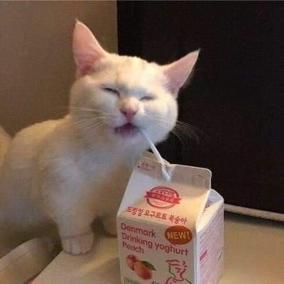 linlinciu's profile picture. I like cats, arts, and memes🥳 feels free to chats with me tho.