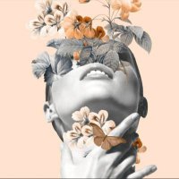 Señorita بسمة (@drbasma88) 's Twitter Profile