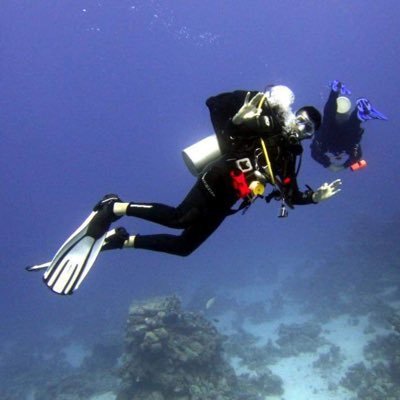 amishpatel90's profile picture. Software Development Consultant