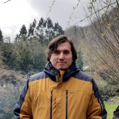 FFloresTobar's profile picture. Ing. Informatico de #ValdiviaCL