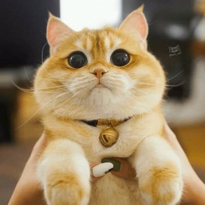 Abreu11225977's profile picture. La riqueza no está en lo material sino en tu manera de pensar