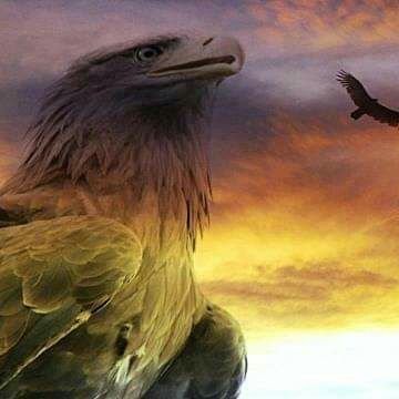 Sirlene72258297's profile picture. Vivendo um dia de cada vez