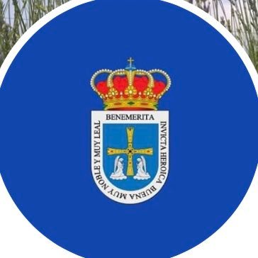 KungFuPandaOvi's profile picture. ¿Hacia dónde vas? Eso no lo sabré nunca