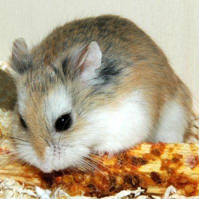 WangWei38879152's profile picture. 