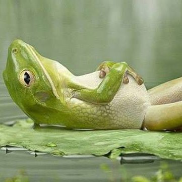 Anonymoustips15's profile picture. Doing the work that needs to be done.