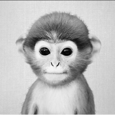 MrPlebKing's profile picture. 