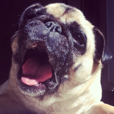 RepZentation's profile picture. Exist, Enjoy, be kind

Interested in the fundamentals more than anything