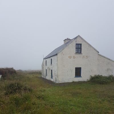 Rog11641's profile picture. having the craic