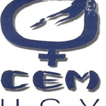 @CEM UCV Profile