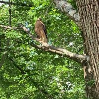 Beth Killoran (@bethkilloran) 's Twitter Profile