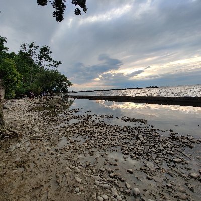 kubeera's profile picture. 