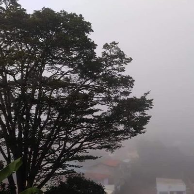 Eloisa98282801's profile picture. 