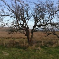 David R Purcell (Author) (@purcellauthor) 's Twitter Profile
