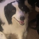 Tammy Peel - @Nan6576 - Twitter