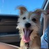 TerriWiggington's profile picture. 