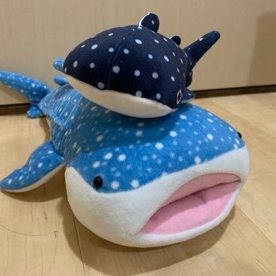 心穏やかに生きたいという心の声に気付きつつ、10年以上、考える生業という修羅の道を歩んでいます。弱者にも強者にも寄り添いきれず、高い意識も低い意識も持ちきれずにさまよう日々。つぶやく内容は概ねよしなしごと、ときどき組織・人事関連。