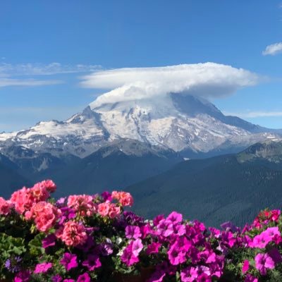 saknus's profile picture. 