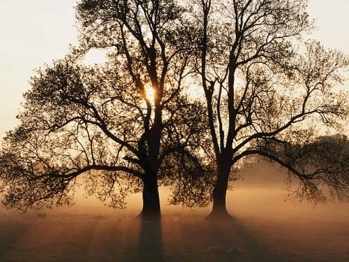 Be kind, for everyone you meet is fighting a hard battle...