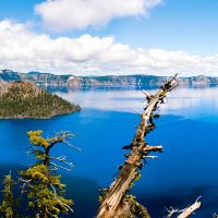 XEP (@xaviespot) 's Twitter Profile