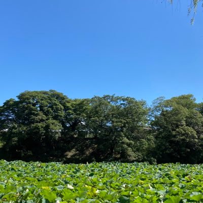 sorama_yukkuri's profile picture. なんやかんやでのんびりやってます 「そこ⁉︎」「そっち側⁉︎」ってところに出没しがち