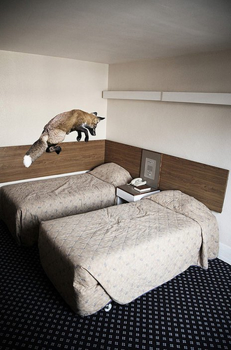 jbloede's profile picture. 