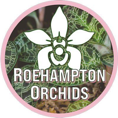 Roeorchids Profile Picture