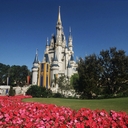 Kathy Schaub - @disnydreamr - Twitter