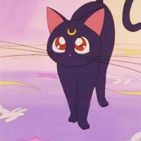 ルナ (@ashm_0928) 's Twitter Profile