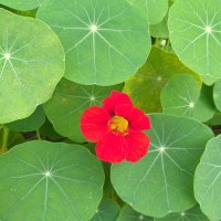 H KUMAR ЁЯОЙЁЯТРтЭдя╕П (@i_m_h_kumar) 's Twitter Profile