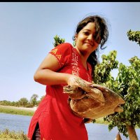 Sreeparna Dutta (@sree_turtle) 's Twitter Profile