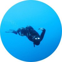 MallorcaBlue (@mallorca_blue) 's Twitter Profile Photo