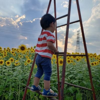 EN53396162's profile picture. 元TRPGオタクの今はライトなオタクです。
夏に熊谷市で、ひまわり畑をダンジョンにして一般開放しています。