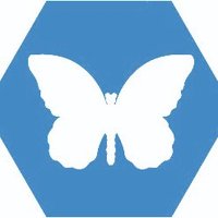 FlutterbyBox (@flutterbybox) 's Twitter Profile