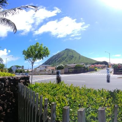 HereKiddyKitty's profile picture. ☆Just Here Thinking Out Loud And Talking Shit ♡