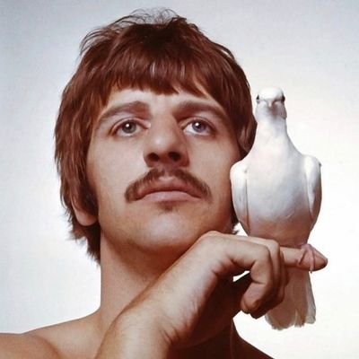_Ring_O_'s profile picture. Peace And Love