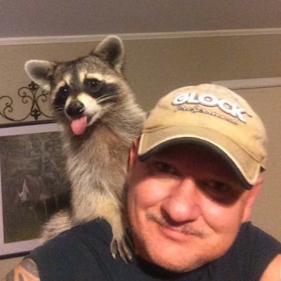 Here for laughs…I rehabilitate raccoons.