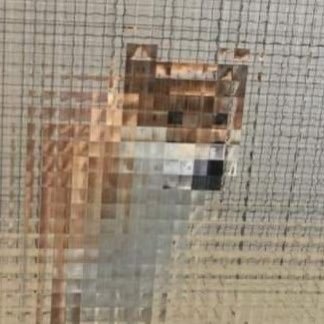 imcunning_'s profile picture. i love pp