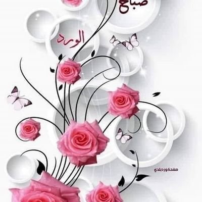 محمود شاهر السيد
اعمل في إدارة المطاعم بالاغذيه والمشروبات